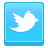 follow us